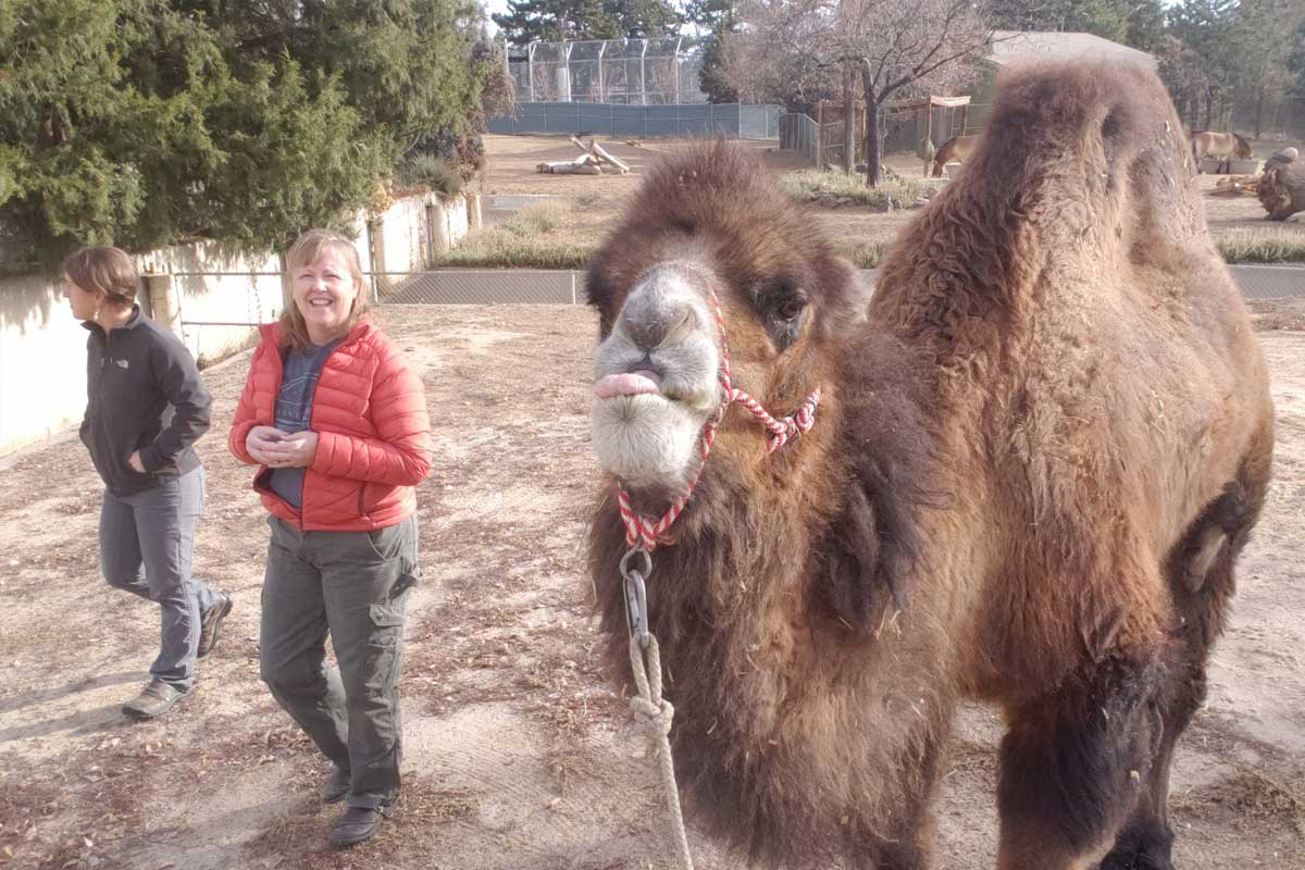 Dr. Bonnie Wright with camel
